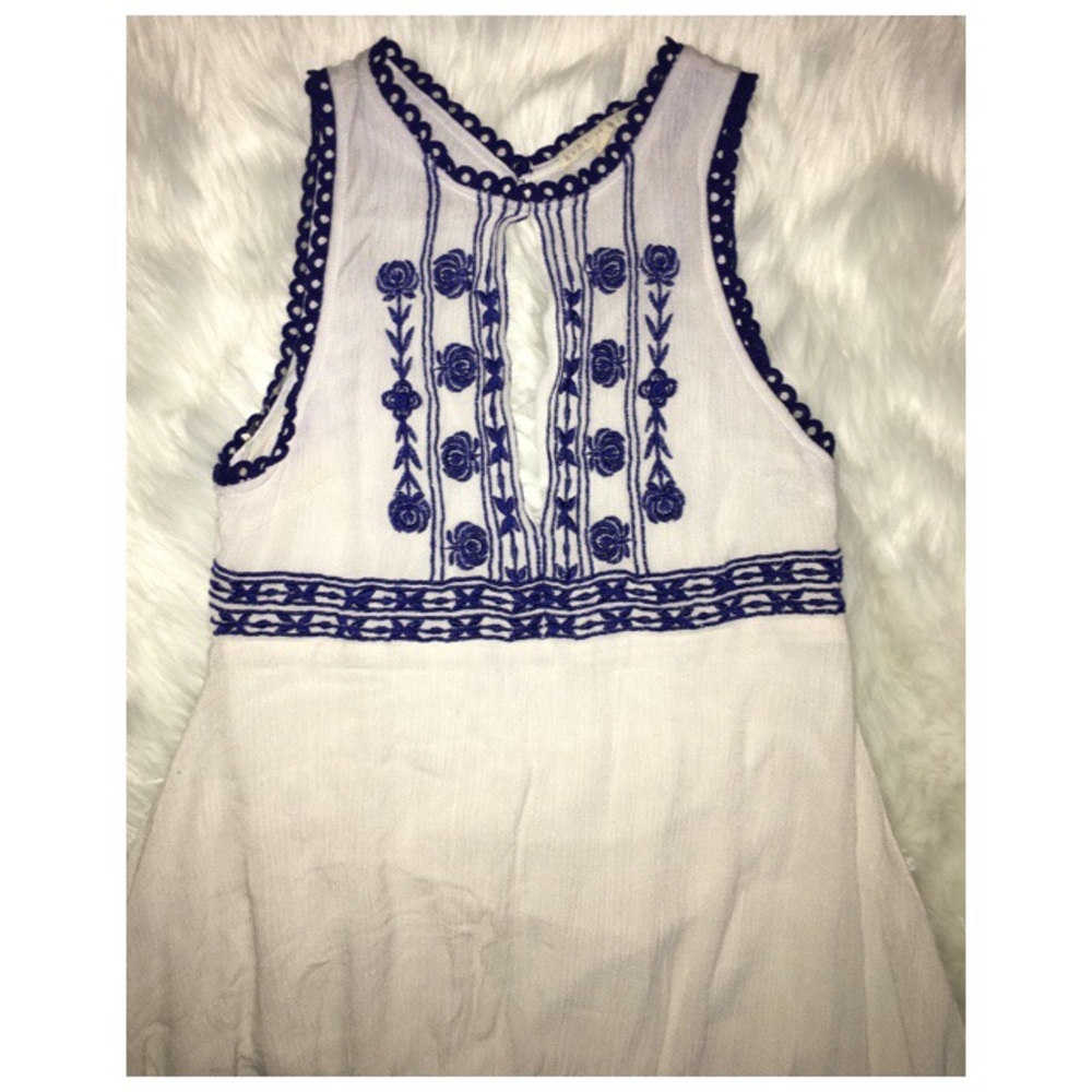 Hint of Mint Embroidered Skater Dress